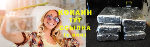 2c-b Лагань