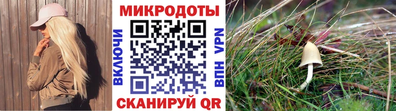 Галлюциногенные грибы Cubensis  Купить закладки  Белёв 